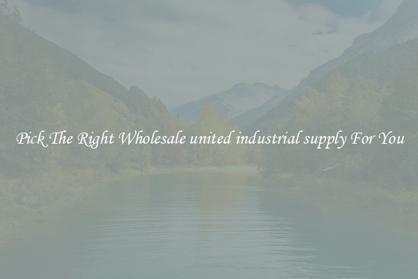 Pick The Right Wholesale united industrial supply For You