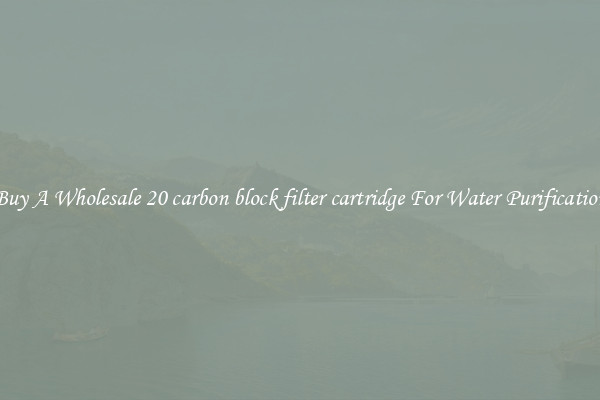 Buy A Wholesale 20 carbon block filter cartridge For Water Purification