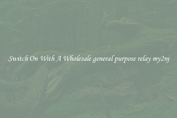 Switch On With A Wholesale general purpose relay my2nj
