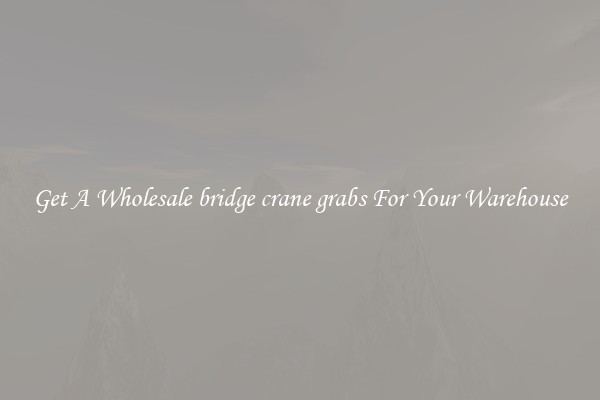 Get A Wholesale bridge crane grabs For Your Warehouse