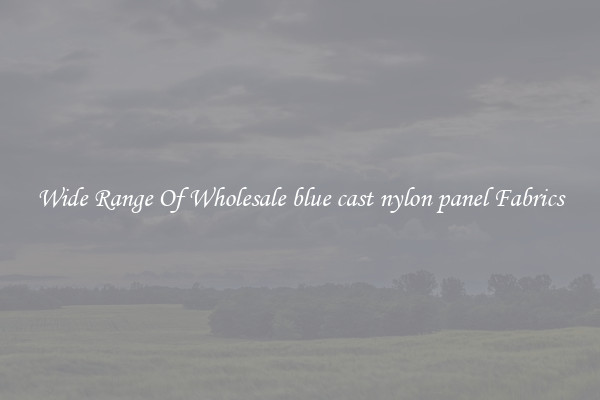 Wide Range Of Wholesale blue cast nylon panel Fabrics