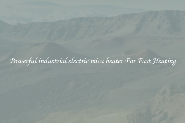 Powerful industrial electric mica heater For Fast Heating