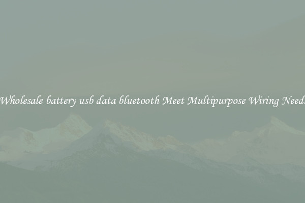 Wholesale battery usb data bluetooth Meet Multipurpose Wiring Needs