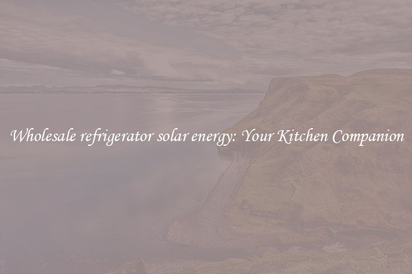 Wholesale refrigerator solar energy: Your Kitchen Companion