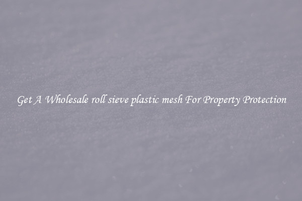 Get A Wholesale roll sieve plastic mesh For Property Protection
