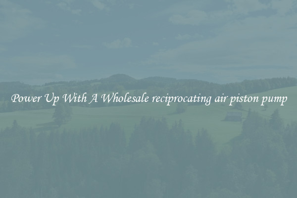 Power Up With A Wholesale reciprocating air piston pump