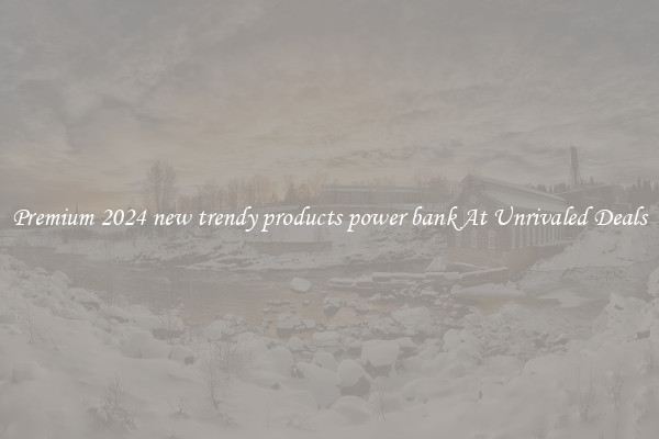 Premium 2024 new trendy products power bank At Unrivaled Deals