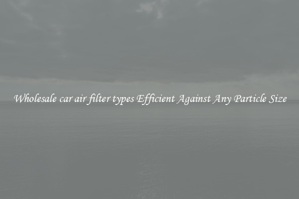 Wholesale car air filter types Efficient Against Any Particle Size