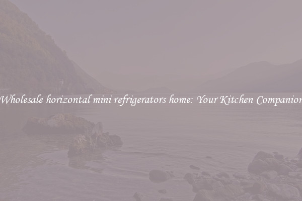Wholesale horizontal mini refrigerators home: Your Kitchen Companion