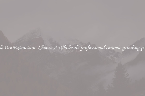 Simple Ore Extraction: Choose A Wholesale professional ceramic grinding powder