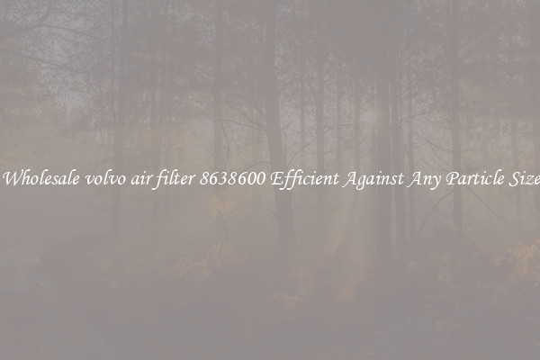 Wholesale volvo air filter 8638600 Efficient Against Any Particle Size