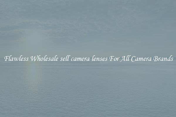 Flawless Wholesale sell camera lenses For All Camera Brands