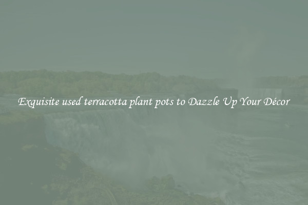 Exquisite used terracotta plant pots to Dazzle Up Your Décor 