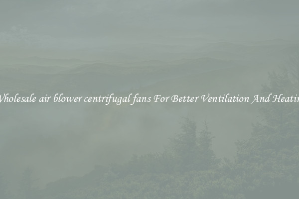 Wholesale air blower centrifugal fans For Better Ventilation And Heating