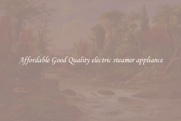Affordable Good Quality electric steamer appliance