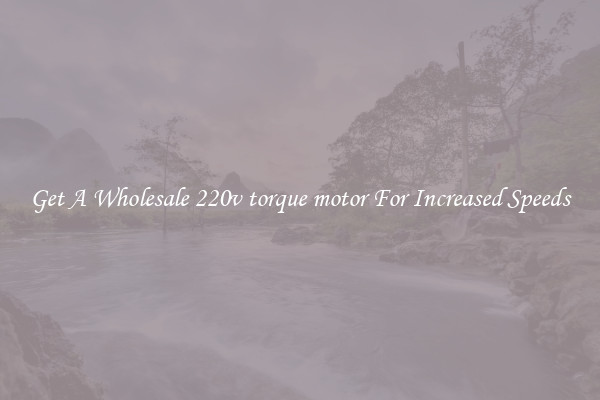 Get A Wholesale 220v torque motor For Increased Speeds