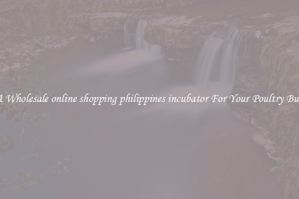 Get A Wholesale online shopping philippines incubator For Your Poultry Business