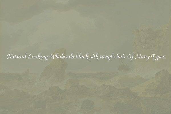 Natural Looking Wholesale black silk tangle hair Of Many Types