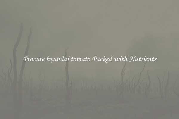 Procure hyundai tomato Packed with Nutrients