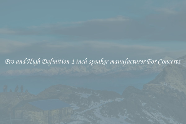 Pro and High Definition 1 inch speaker manufacturer For Concerts 
