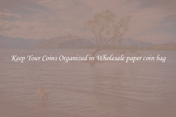 Keep Your Coins Organized in Wholesale paper coin bag