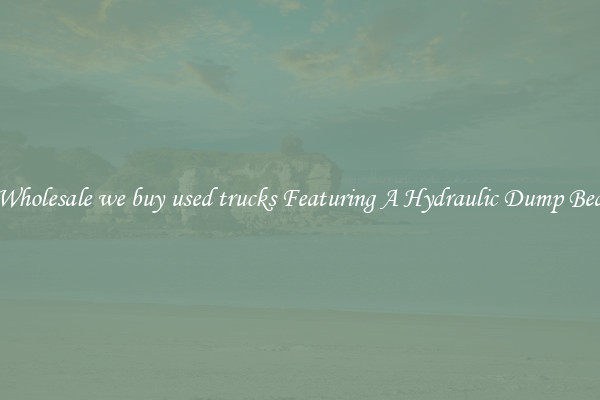 Wholesale we buy used trucks Featuring A Hydraulic Dump Bed