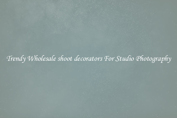 Trendy Wholesale shoot decorators For Studio Photography